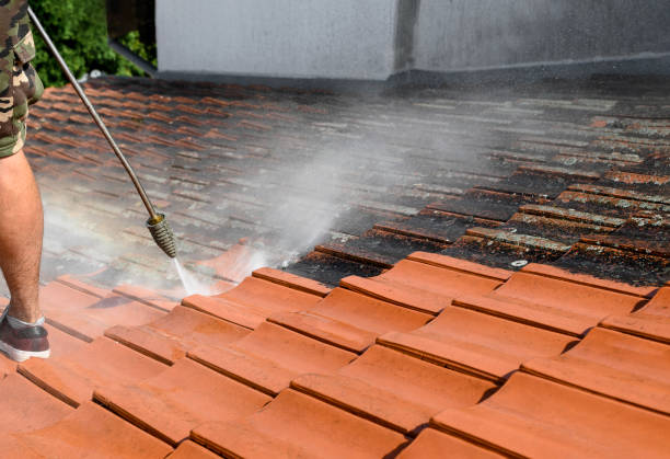 Best Commercial Building Pressure Washing  in Kill Devil Hills, NC